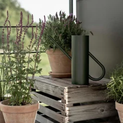 Bloom blomstervandkande, pine