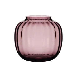 Primula vase, blomme