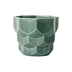 Samsurium blomsterkrukke, spruce