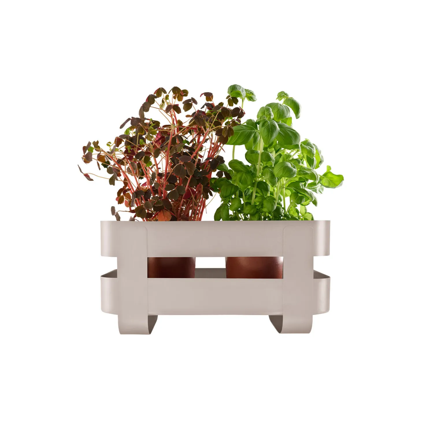 Selvvandende Herb organiser, sand