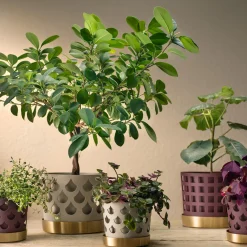 Trio Drop Flowerpot Small