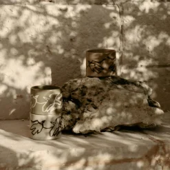 Vuelo Kop, elm green